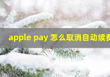 apple pay 怎么取消自动续费